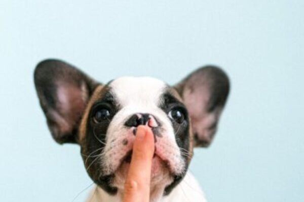 Les secrets sur votre dossier de crédit.